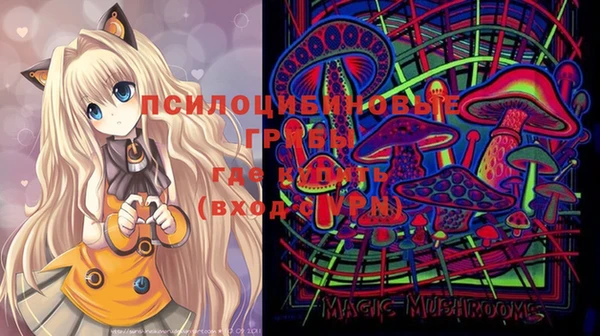 прущие крисы Абинск