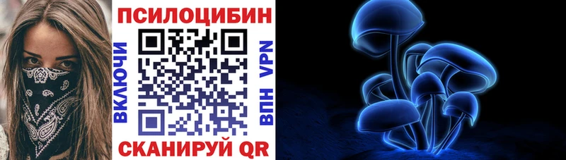 Псилоцибиновые грибы Psilocybine cubensis МЕГА как войти Советский