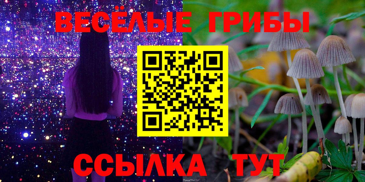 купить   Псилоцибиновые грибы Cubensis  Вход с VPN  Советский 
